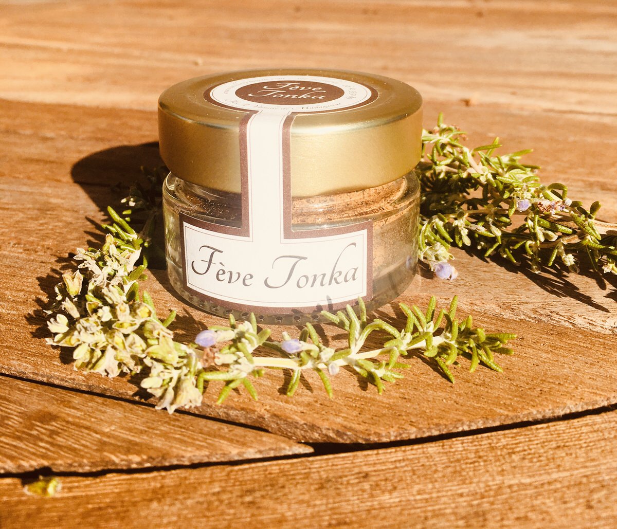 FEVE TONKA MOULUE