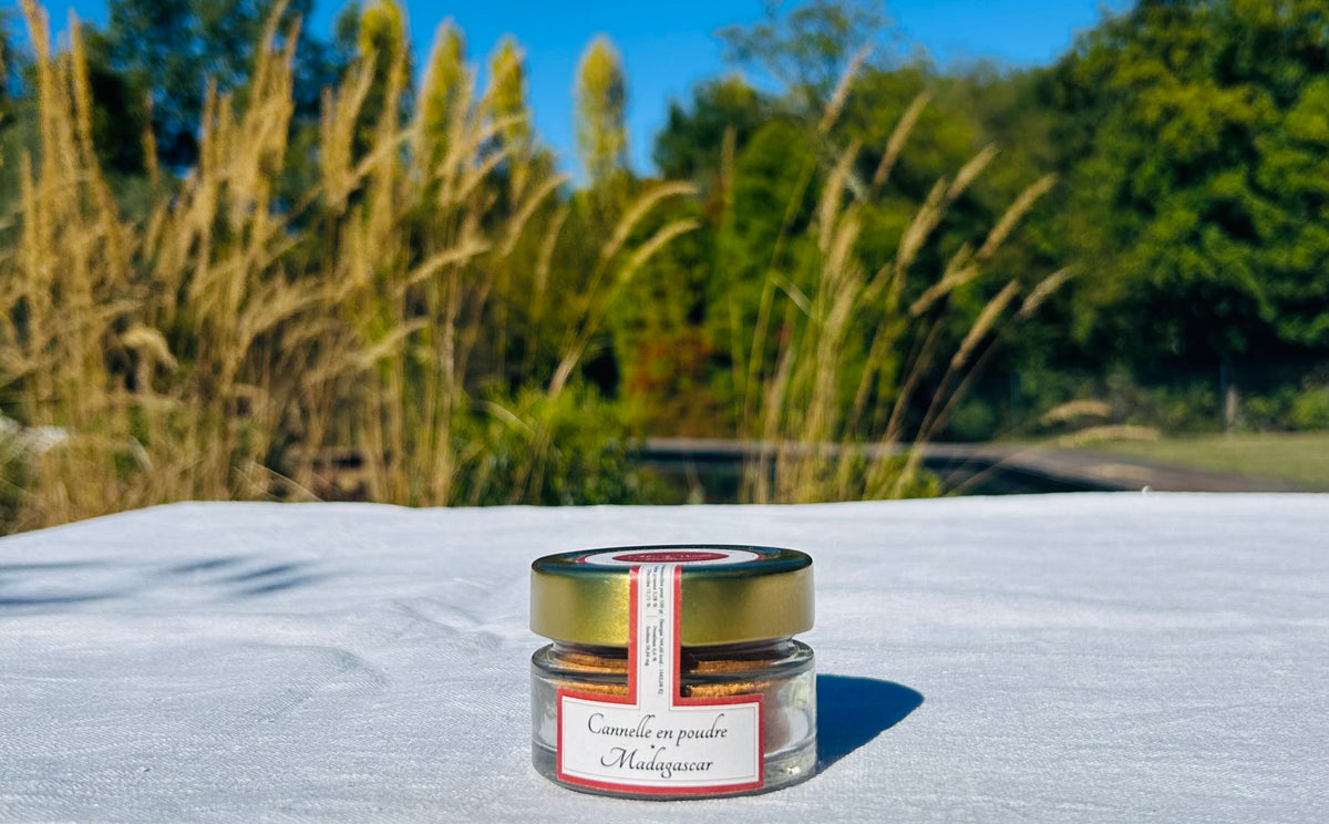 Cannelle en poudre